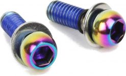 SRAM Direct and Standard Mount Mounting Bolts (Pair)