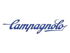 Campagnolo Front Brake Fixing Bolt - Steel (24 mm)