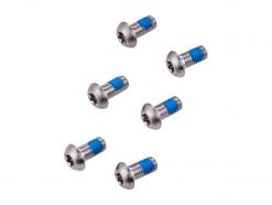 Avid Rotor T25 Titanium Bolt Kit (6pcs)