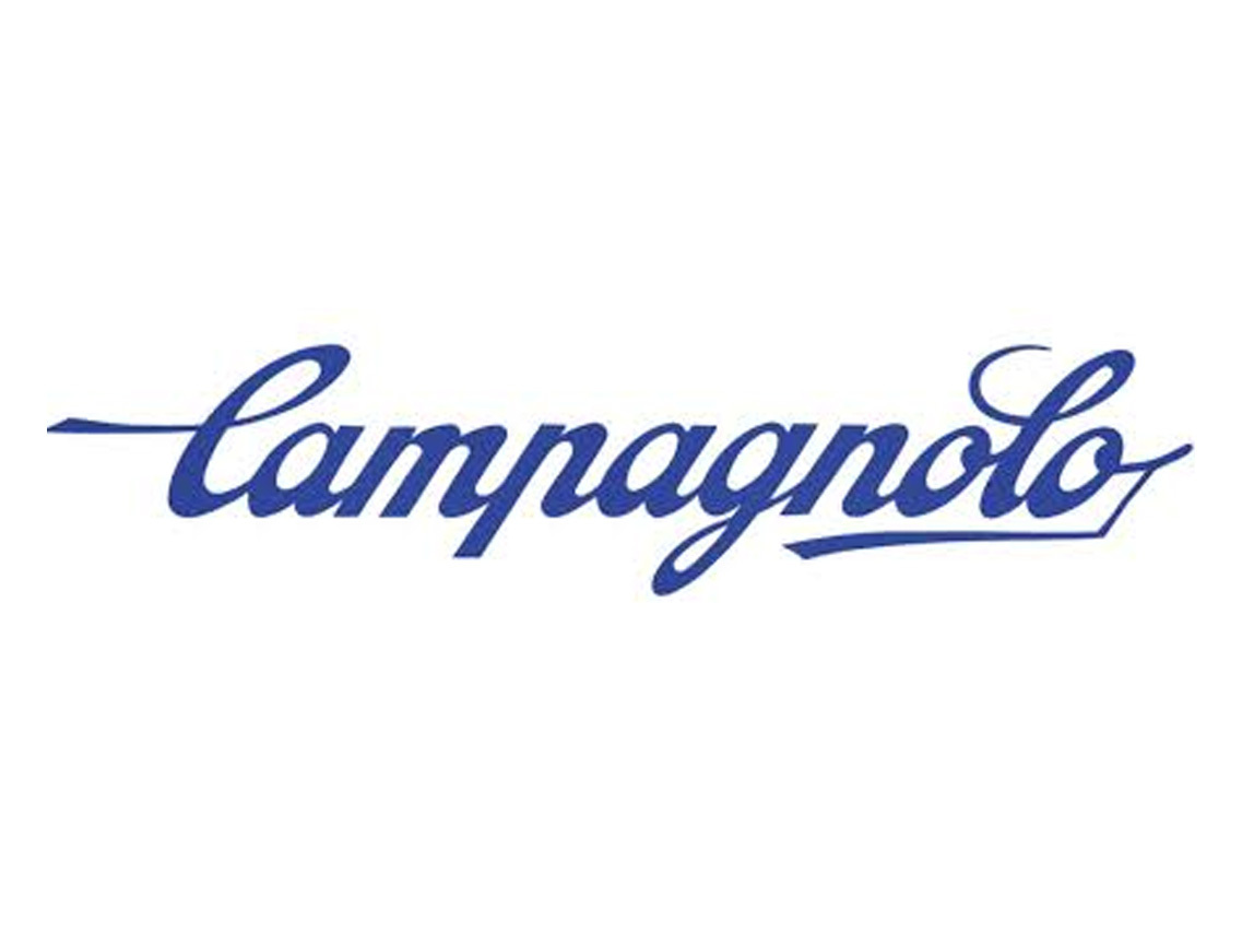 Campagnolo Rear Brake Fixing Bolt